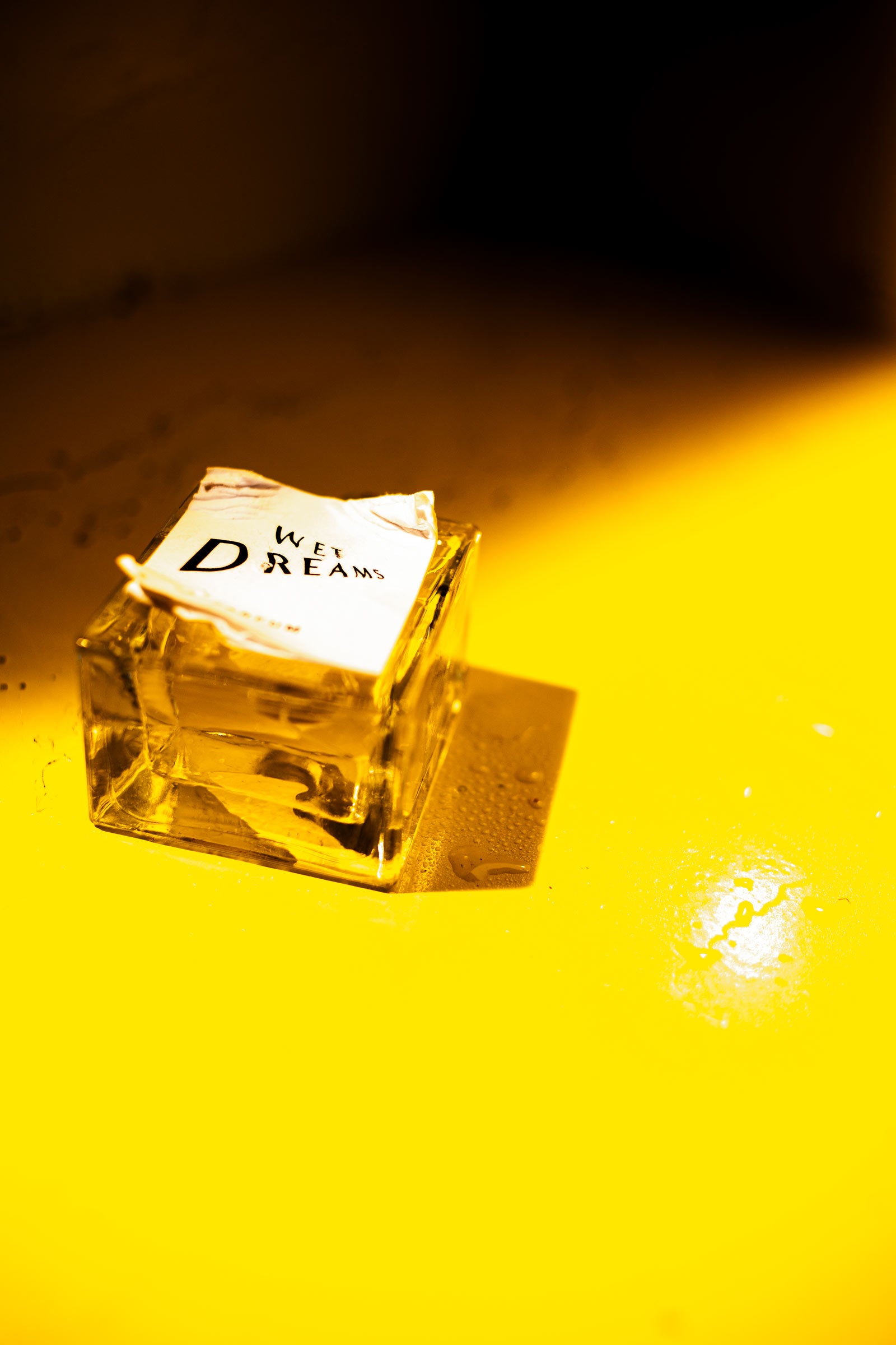 WET DREAMS • Parfum